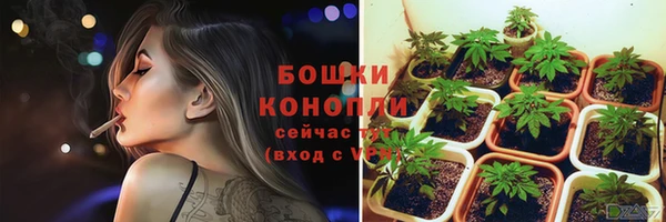 дмт Бородино