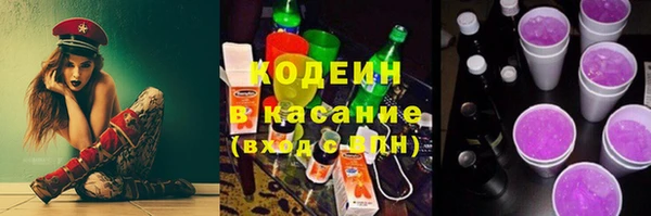 дмт Бородино