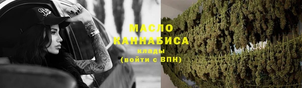 дмт Бородино