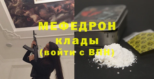 дмт Бородино
