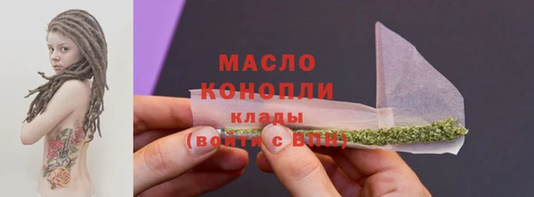 дмт Бородино