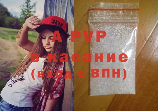 дмт Бородино