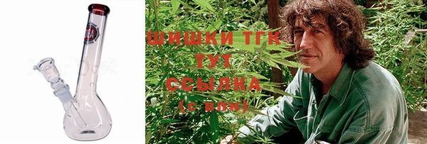 дмт Бородино